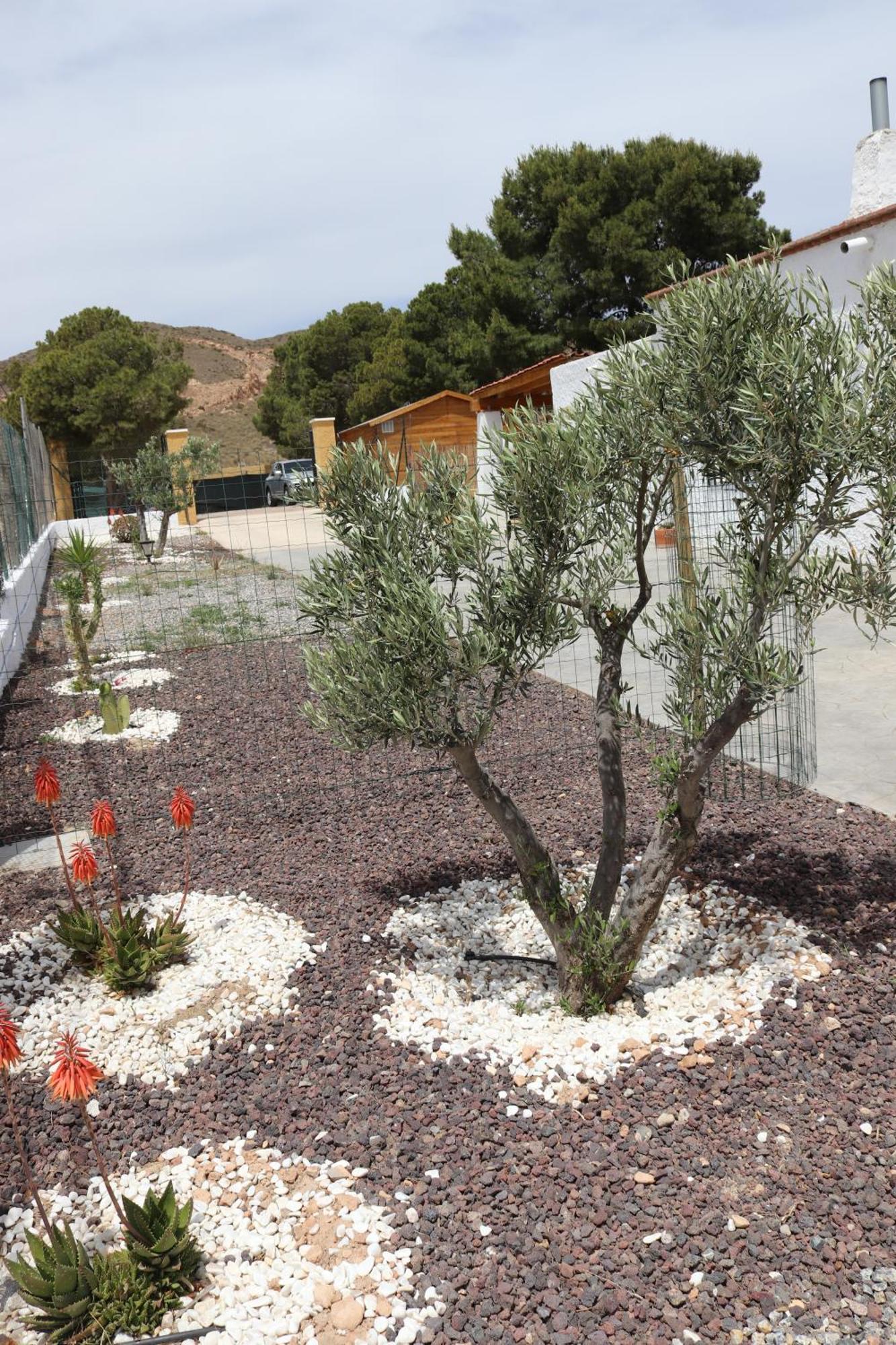 Cortijo El Pinar 1 Villa Níjar Exterior foto